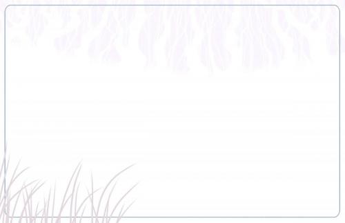 Blank Page